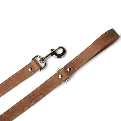 Fairmont Dog Leash - Tan