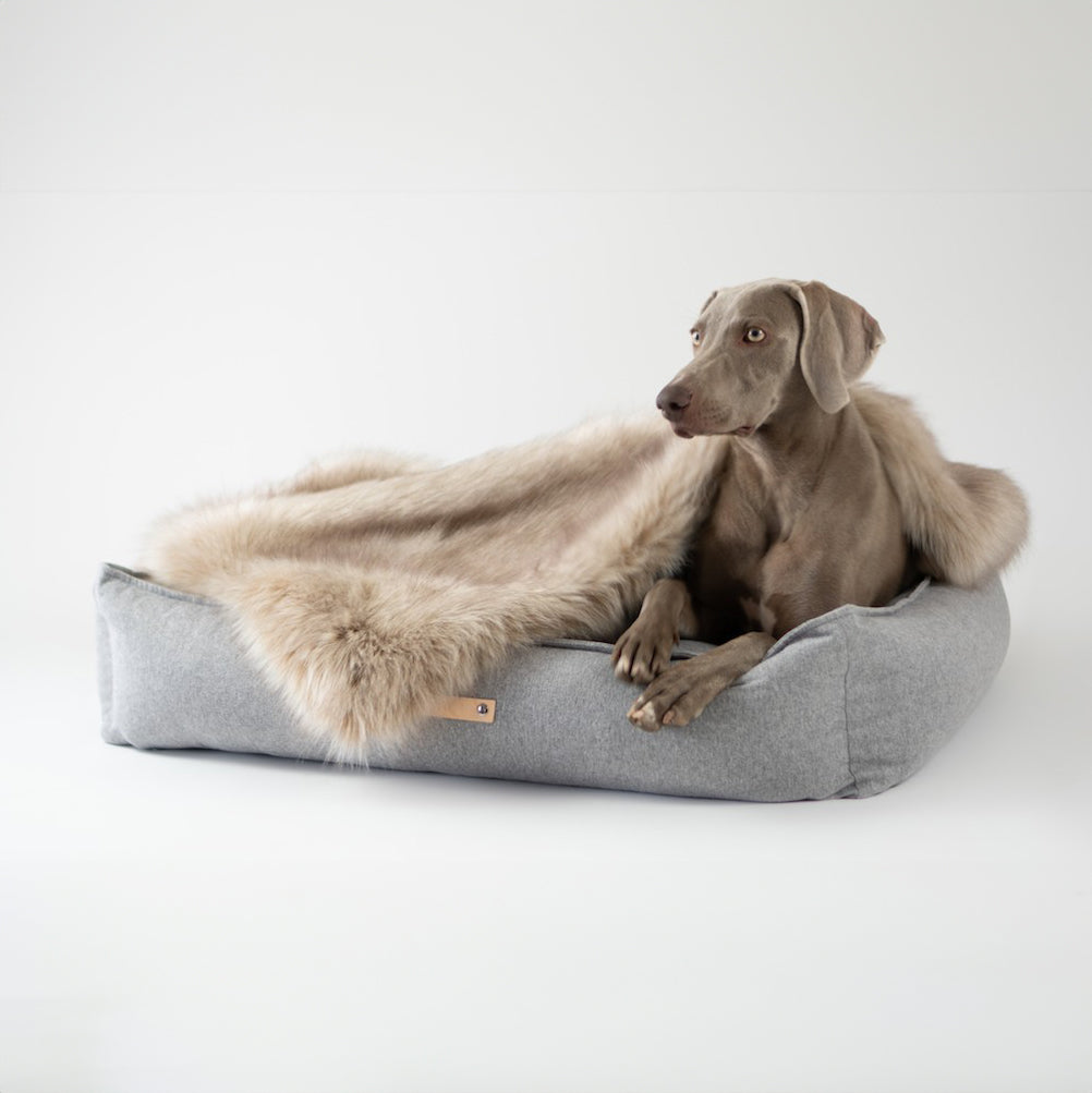 バービーケンウェルカムボードソファー Movik Dog Bed – Fairmont Store US