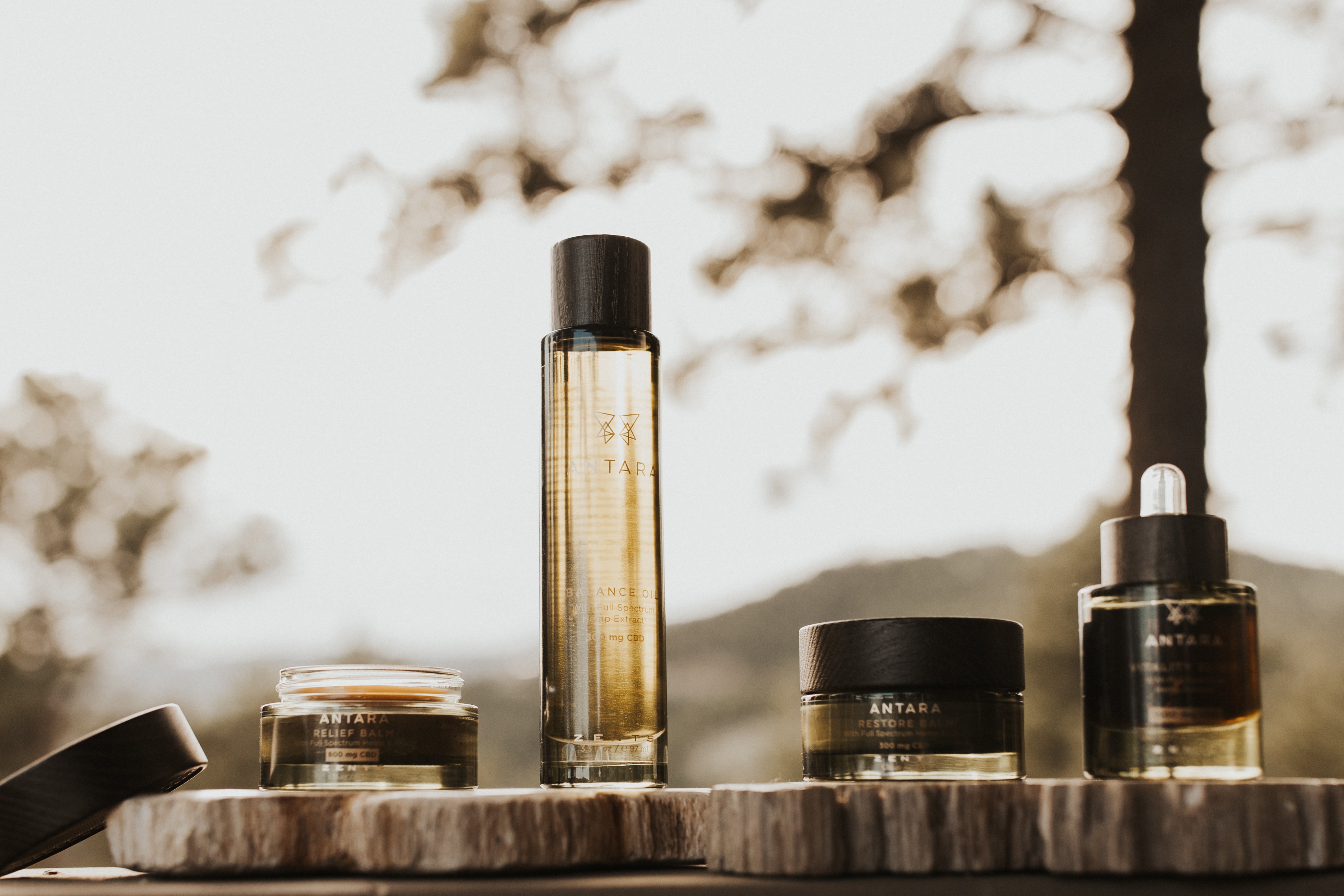 Antara CBD Wellness Discovery Kit – Fairmont Store US