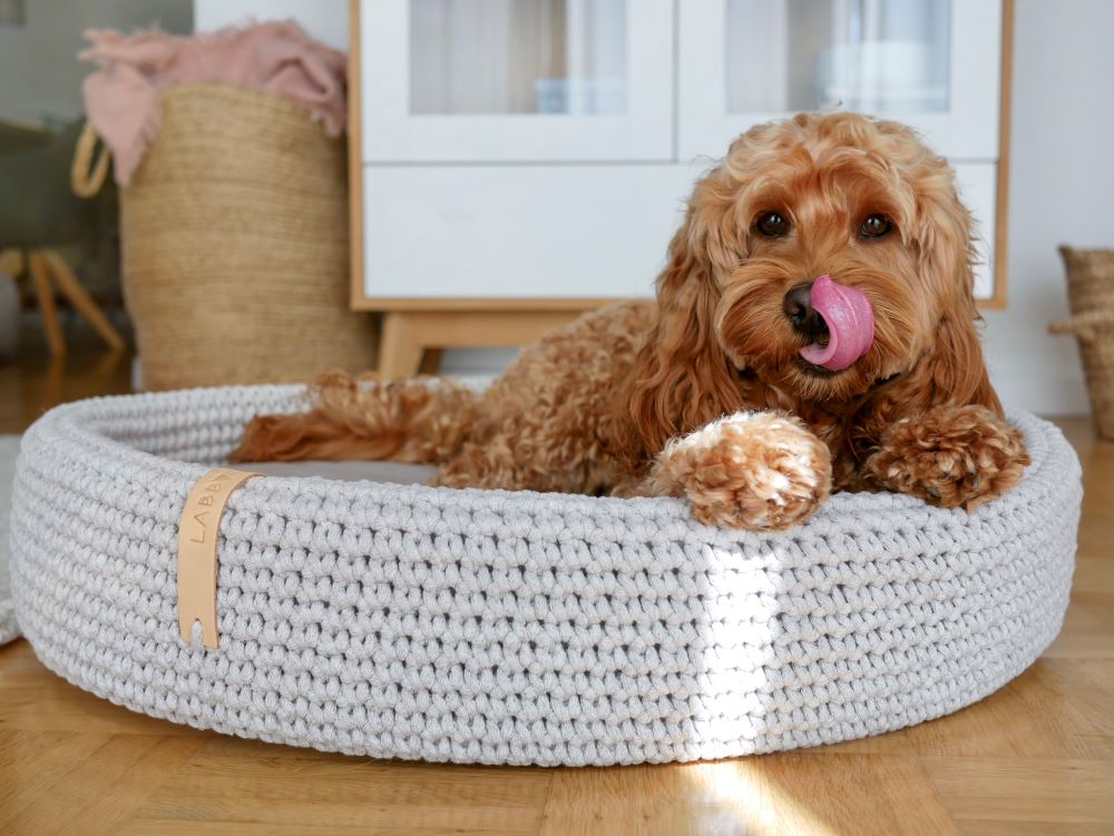 Fashion us rated dog bed