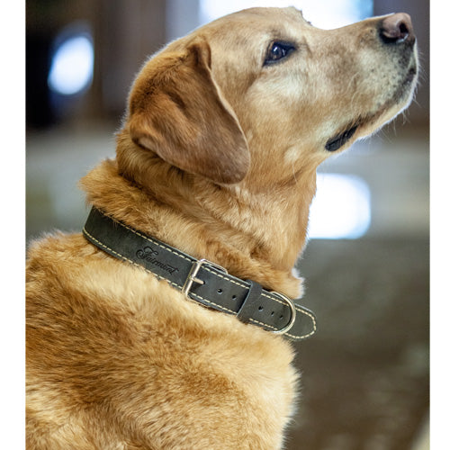 Fairmont Dog Collar - Grey