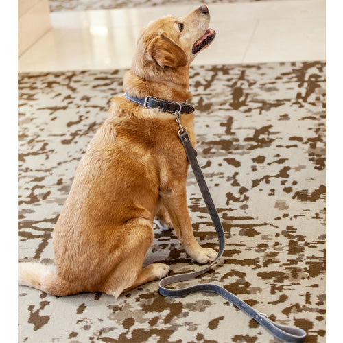 Fairmont Dog Leash - Grey – Fairmont Store US