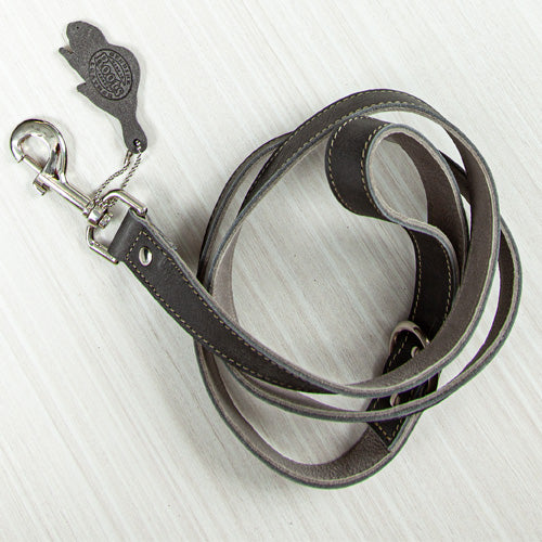 Fashion long dog leash